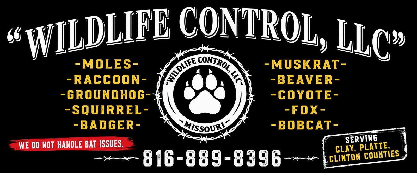 Wildlife Control LLC Technician at Work
